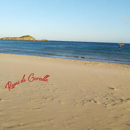 Rami Di Corallo Con Parcheggio Privato ---------- *